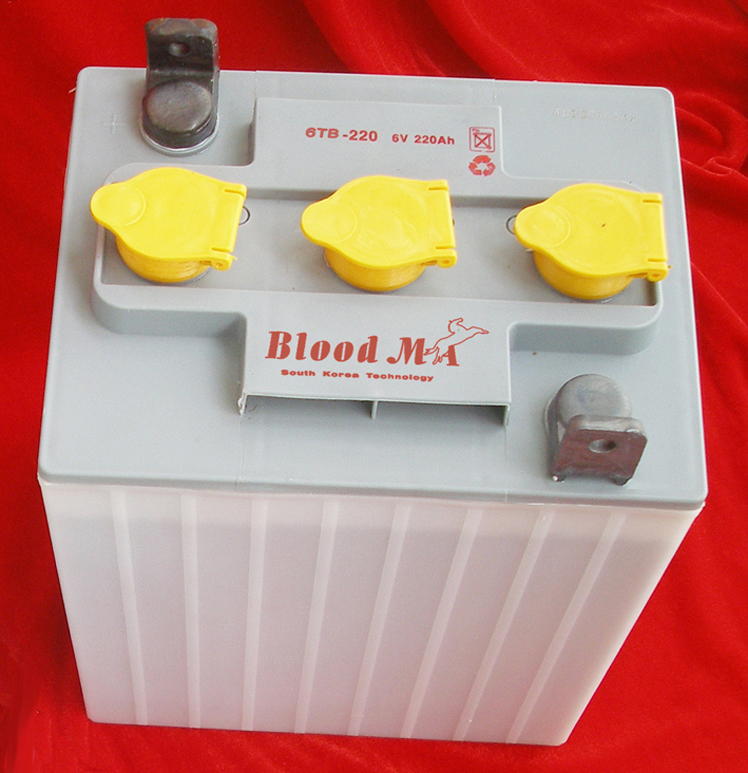 汗血马观光车电池 汗血马观光车电池